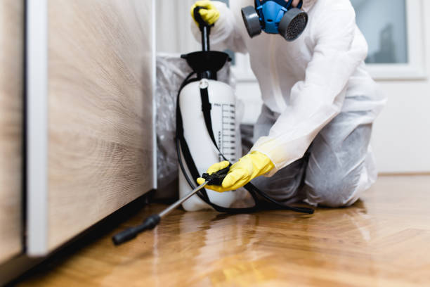 Professional Pest Control in Lake Katrine, NY