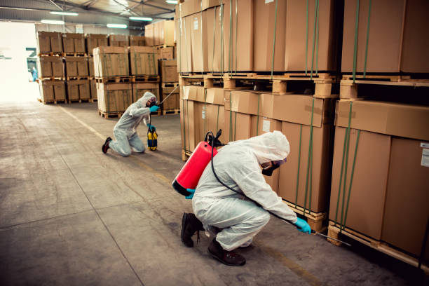 Best Emergency Pest Control  in Lake Katrine, NY