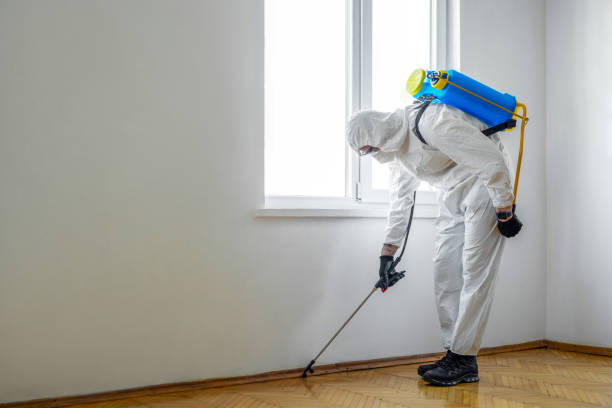 Best Mosquito Control Services  in Lake Katrine, NY