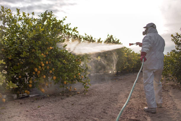 Best Mosquito Control Services  in Lake Katrine, NY