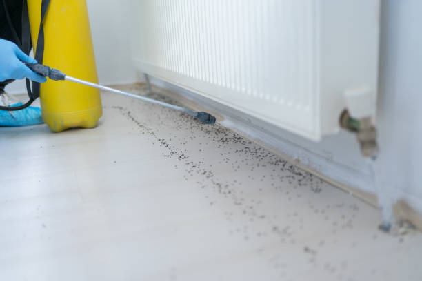 Best Local Pest Control Services  in Lake Katrine, NY