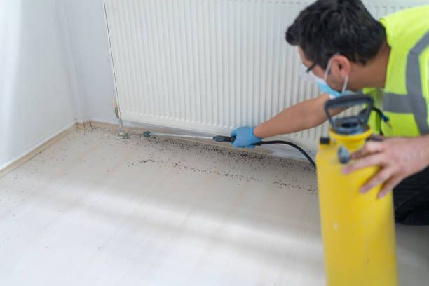Best Pest Control Near Me  in Lake Katrine, NY